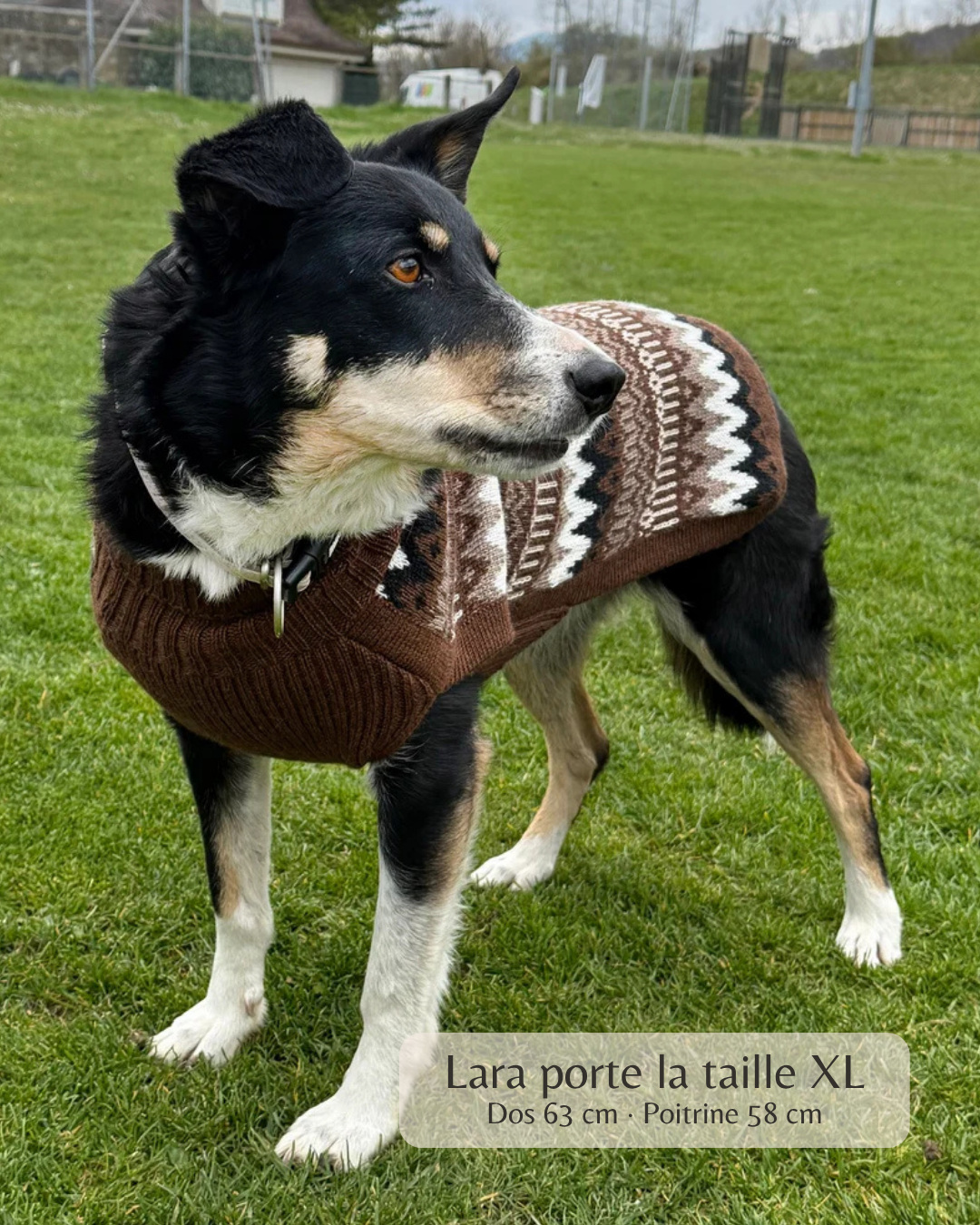 Pullover en laine d'alpaga - Lumière d'Alpaga