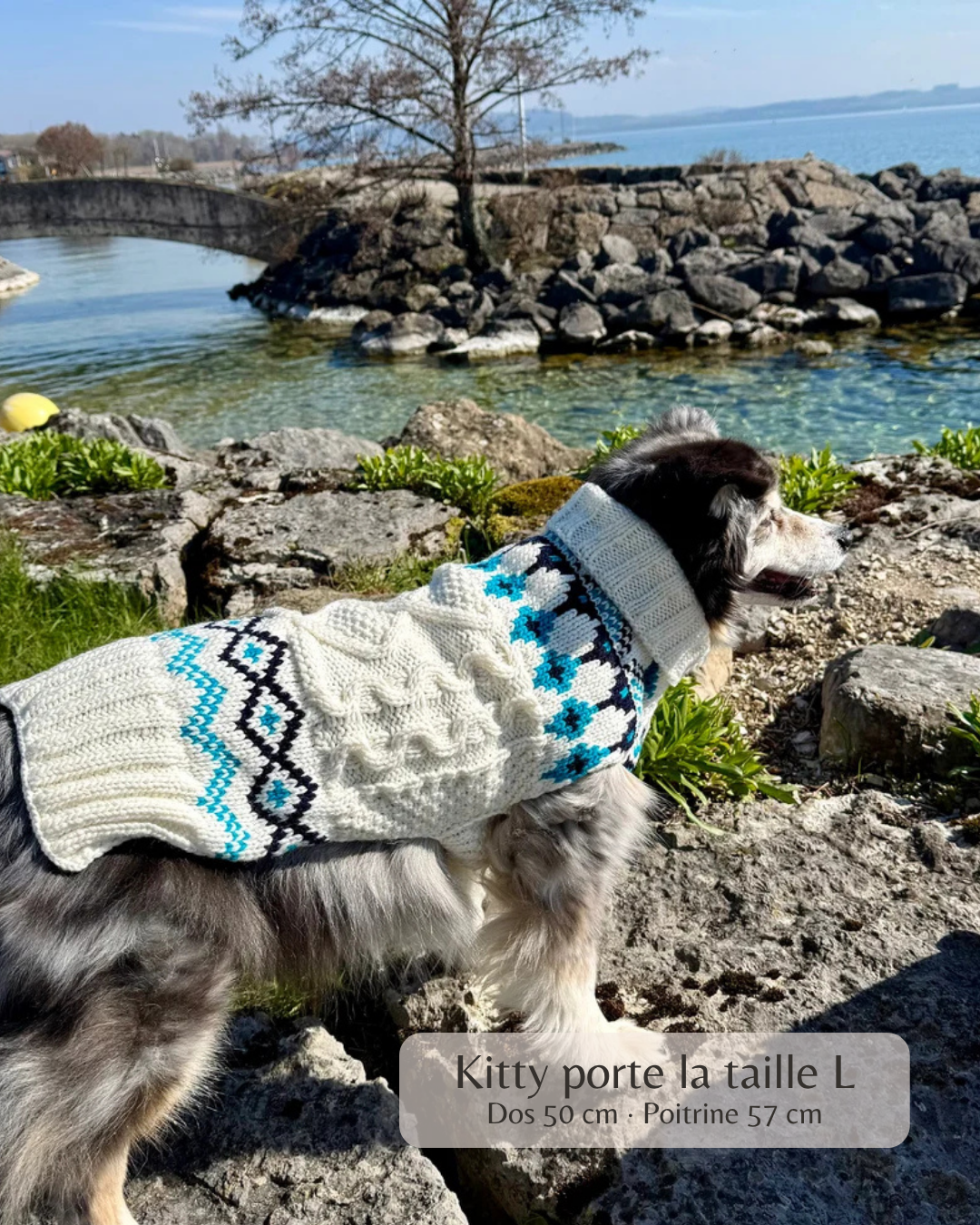 Pullover pour chien Grand Air