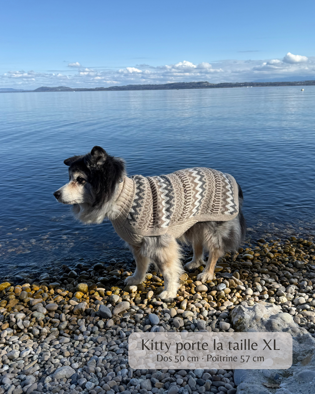 Pullover en laine d'alpaga - Fils de Lune