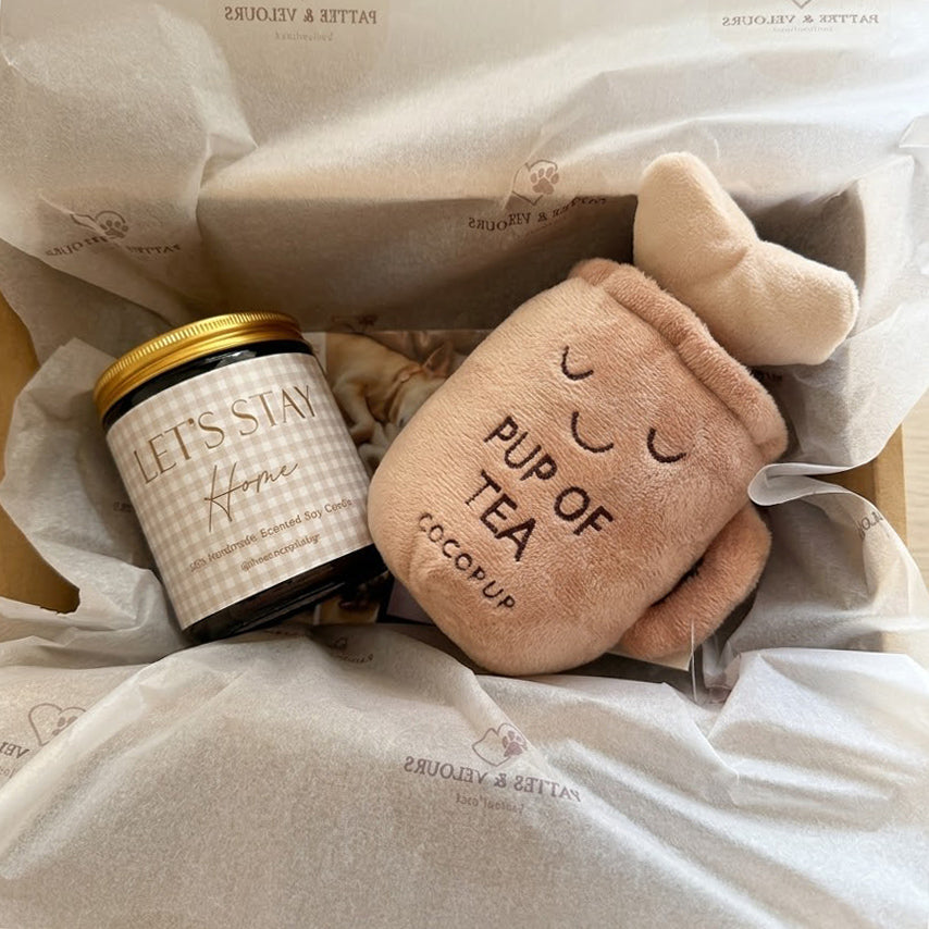 Retour de balade – Coffret cadeau pour chien & son humain