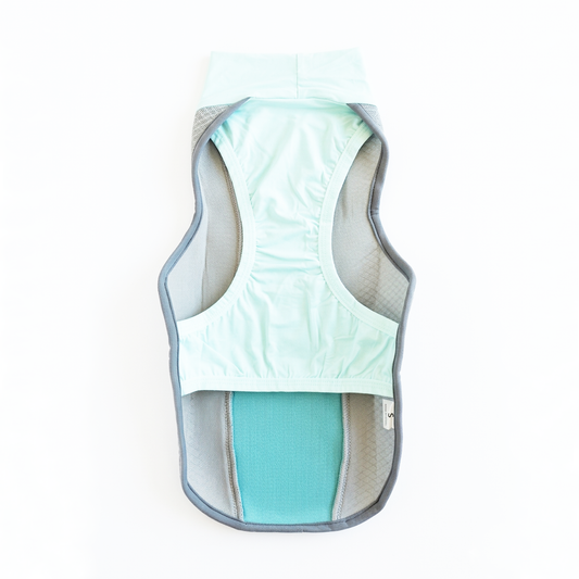Gilet Brise turquoise - gilet rafraîchissant pour chien