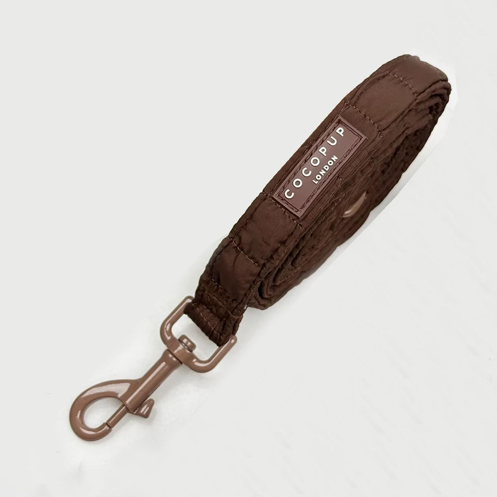 Laisse Signature Espresso – Laisse matelassée élégante pour petit chien