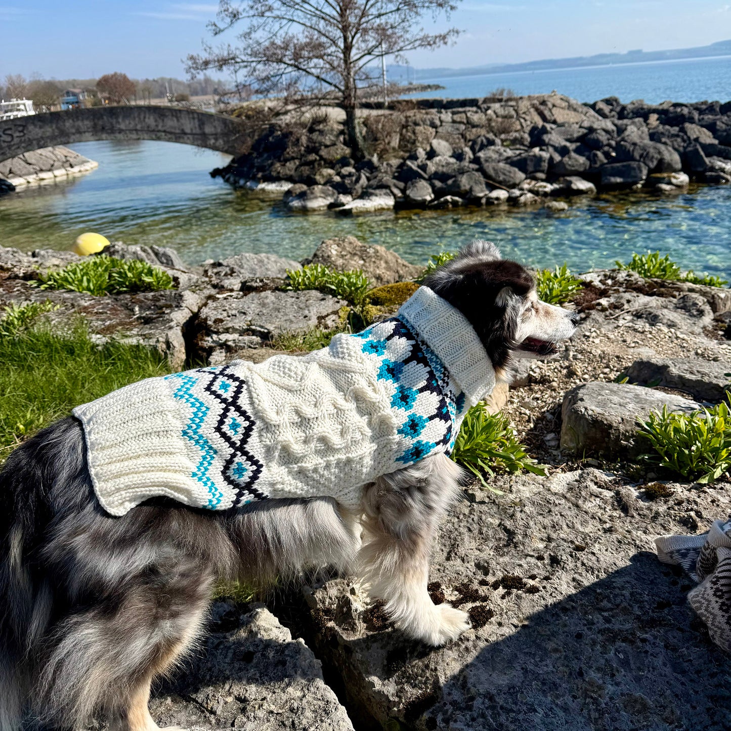 Pullover pour chien Grand Air