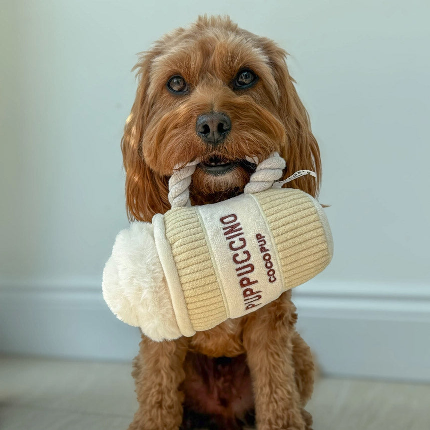 Puppuccino – Interaktives Hundespielzeug zum Knabbern