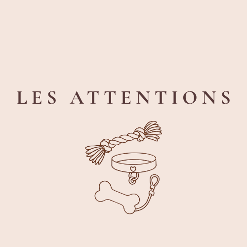Les accessoires