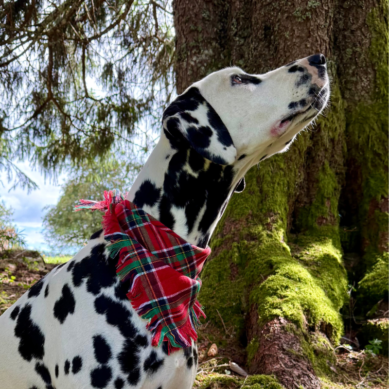Highlands