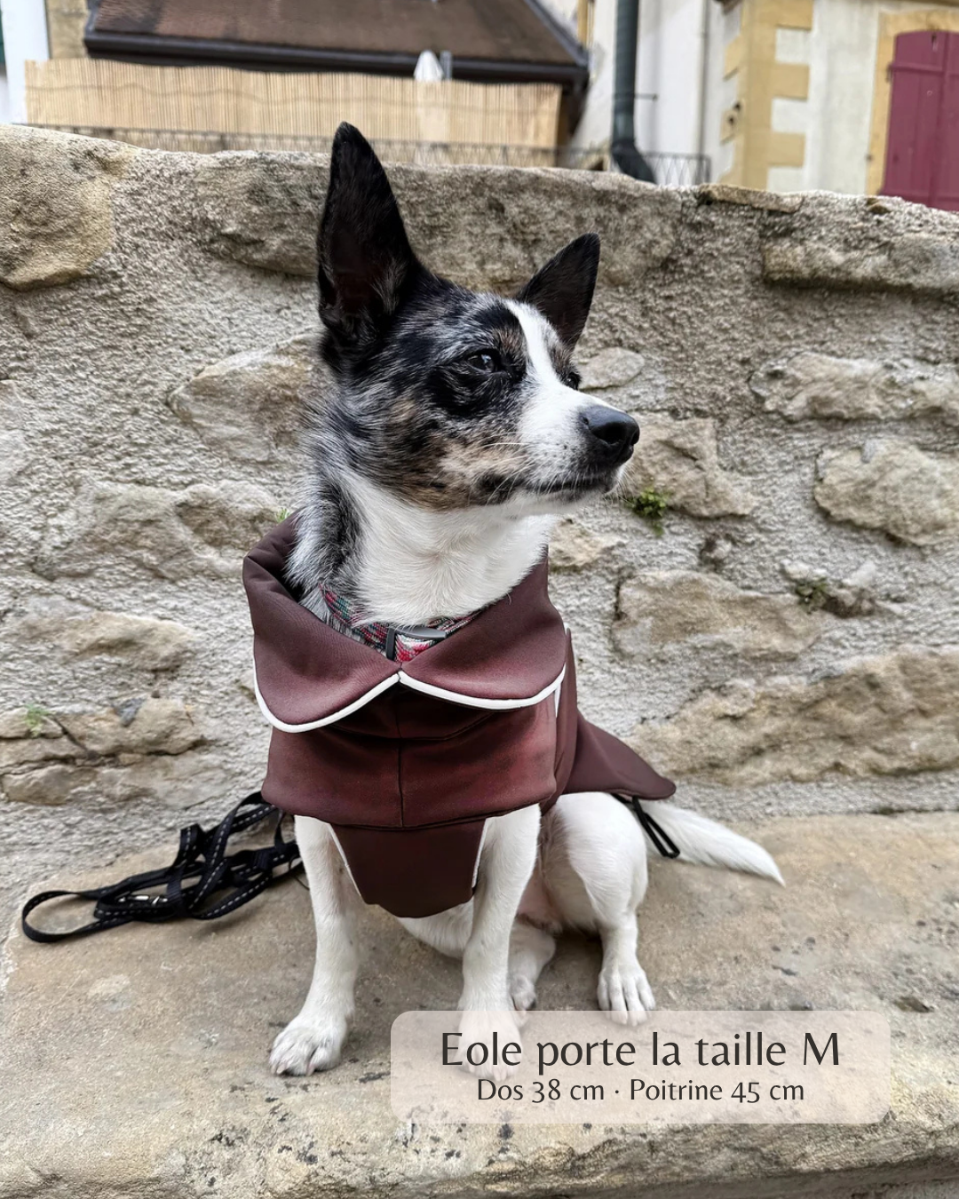Manteau de pluie pour chien Signature Chocolat - en Softshell