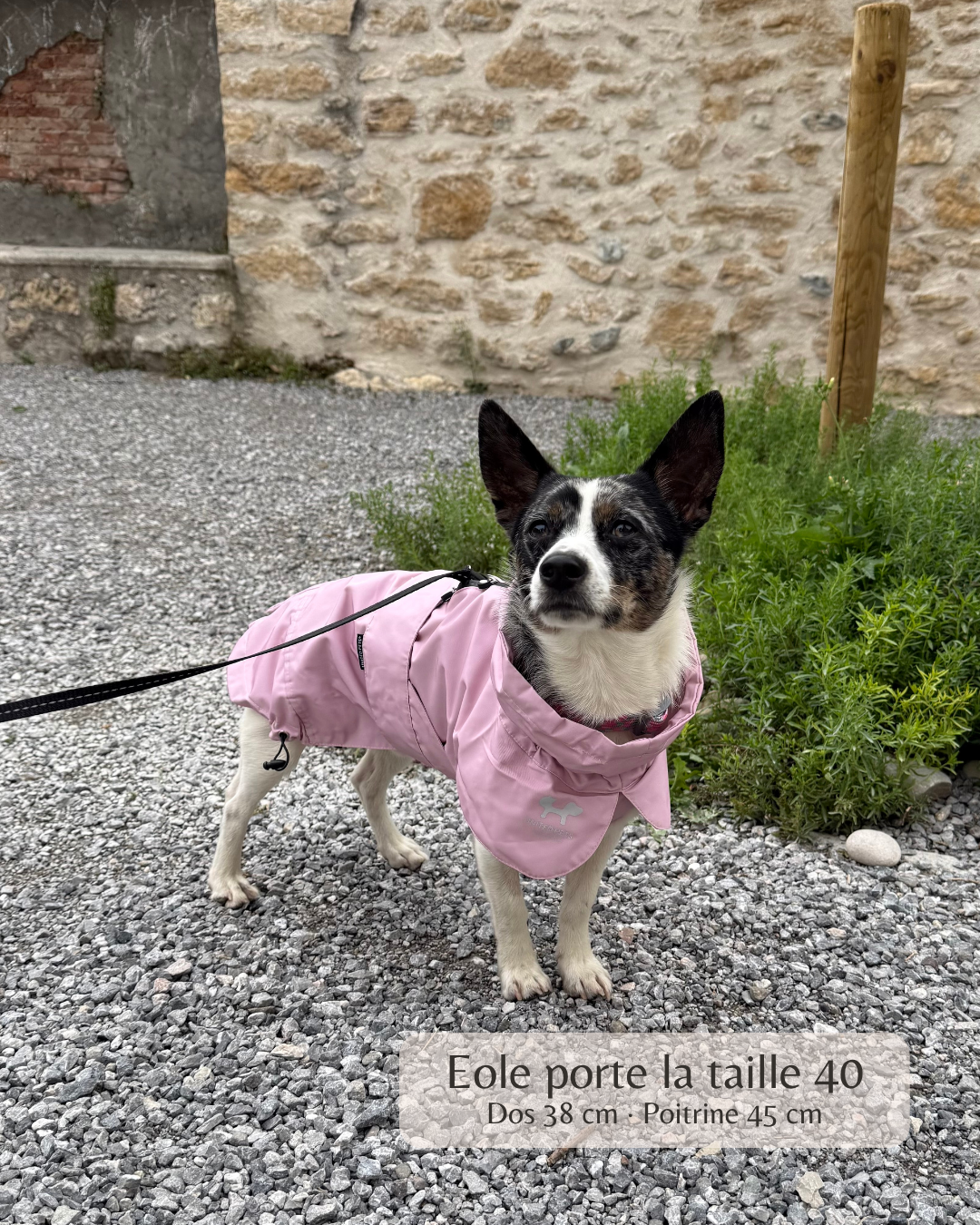 Imperméable “Pioggia di Milano” pour chien - taupe