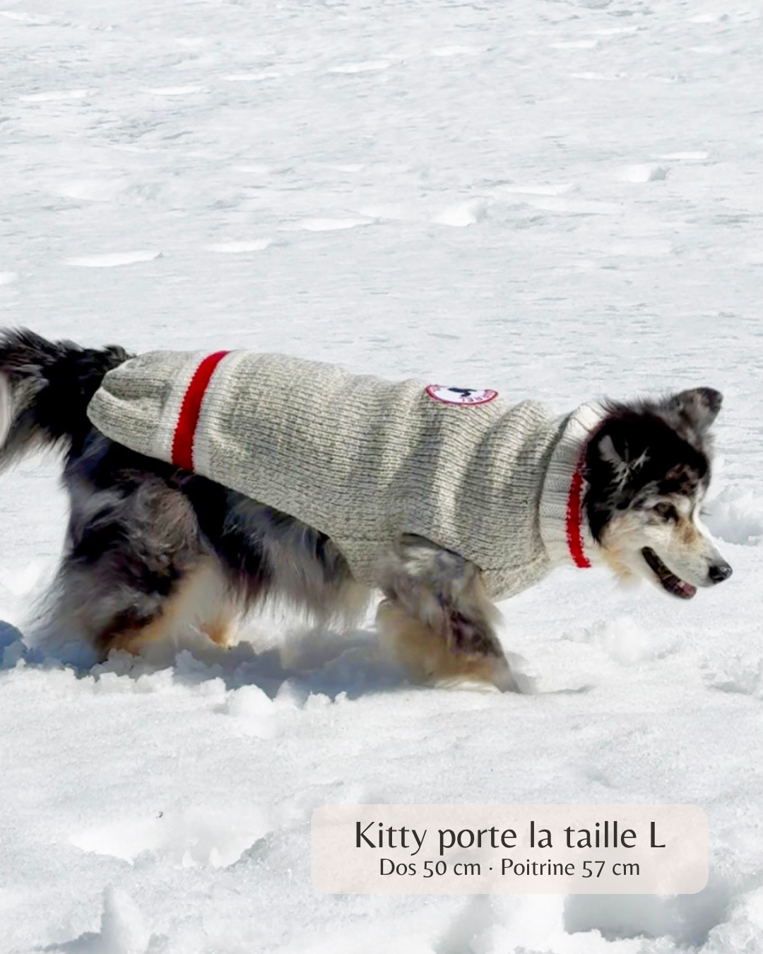 Pullover pour chien Douceur des cimes