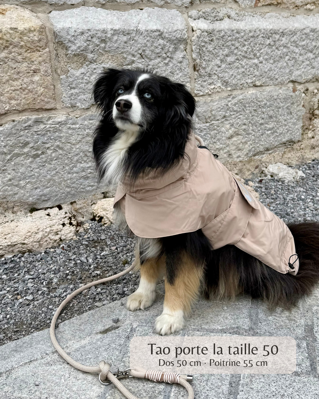 Imperméable “Pioggia di Milano” pour chien - taupe