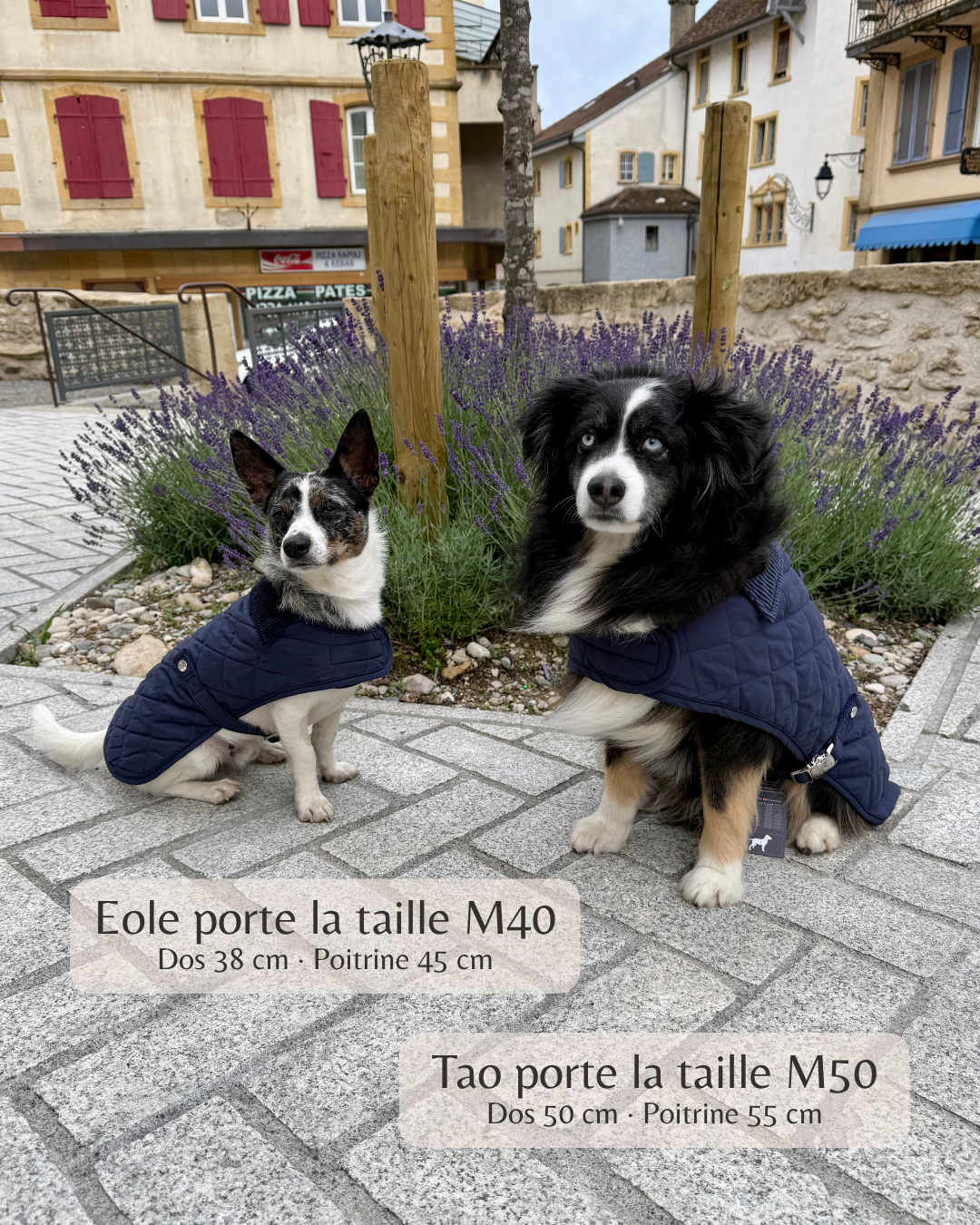 Manteau pour chien vert – Windsor Green
