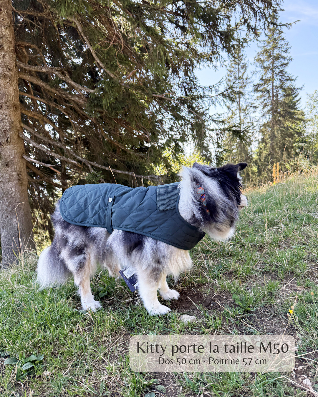 Manteau pour chien vert – Windsor Green