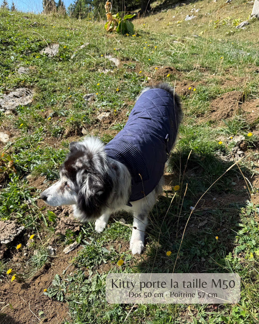 Manteau pour chien bleu marine – London Club