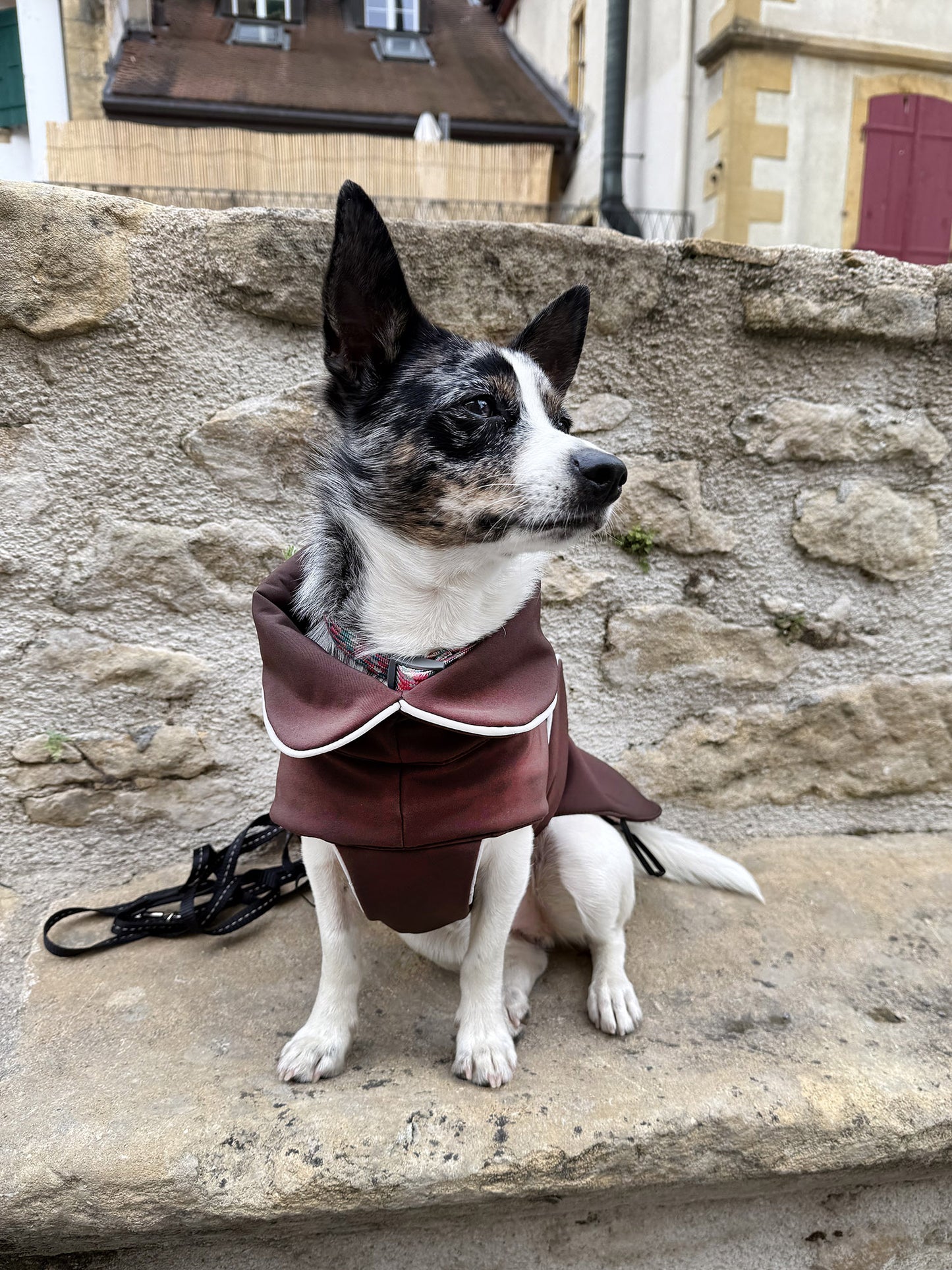 Manteau de pluie pour chien Signature taupe - en Softshell