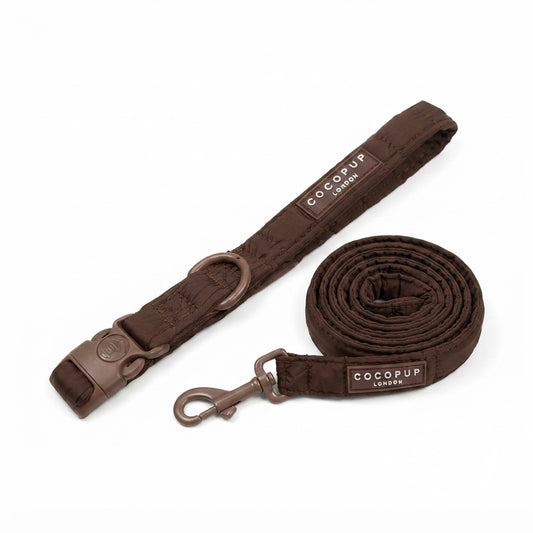 Duo Signature Espresso – Collier & laisse assortis pour chien