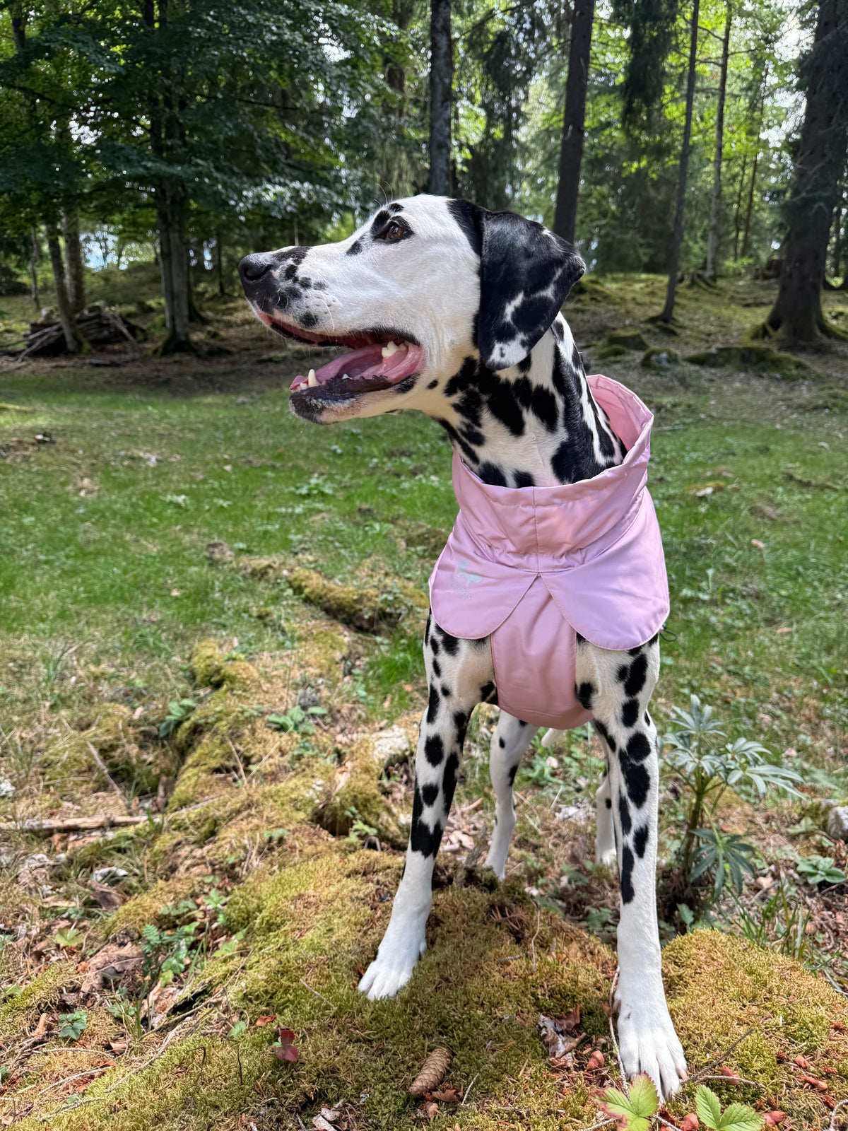 Imperméable “Pioggia di Milano” pour chien - rose poudré