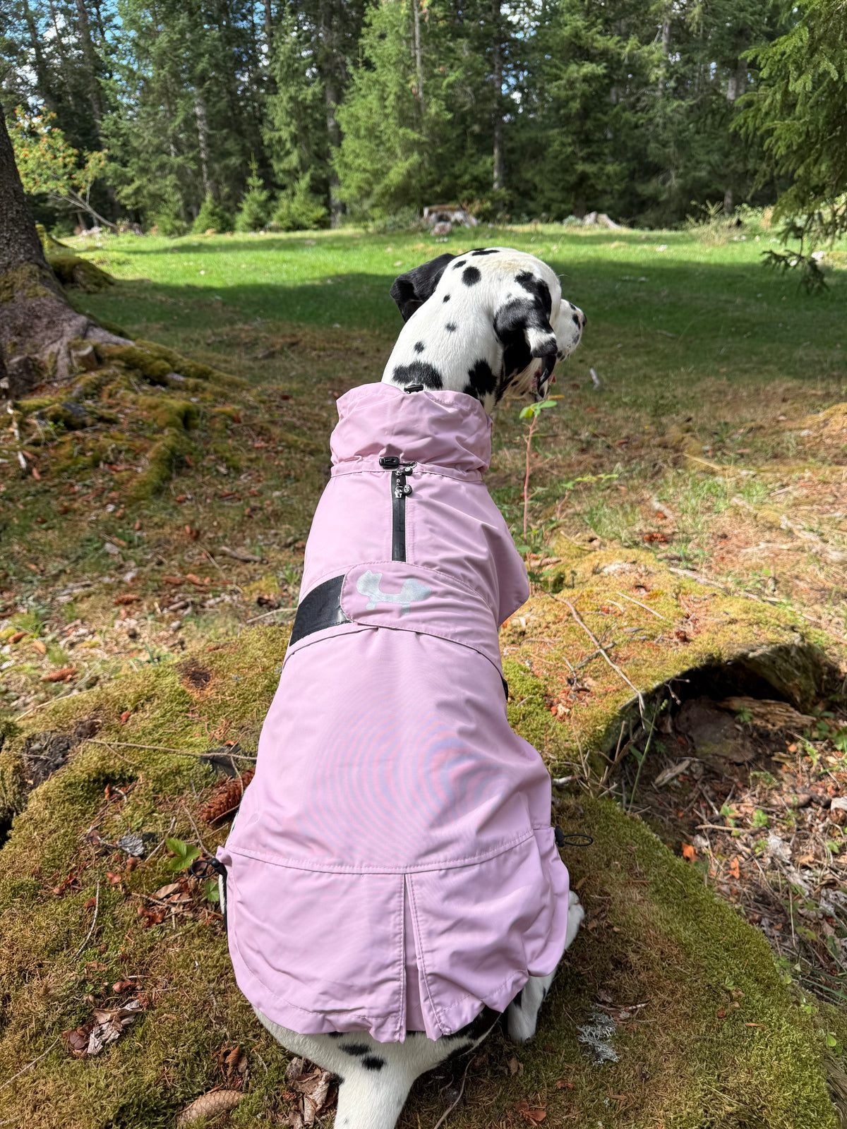 Imperméable “Pioggia di Milano” pour chien - rose poudré