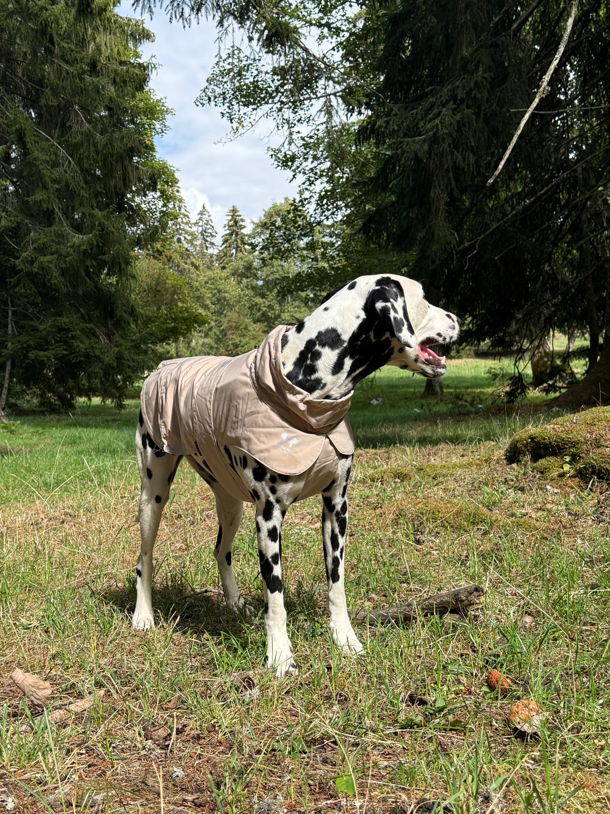 Imperméable “Pioggia di Milano” pour chien - taupe