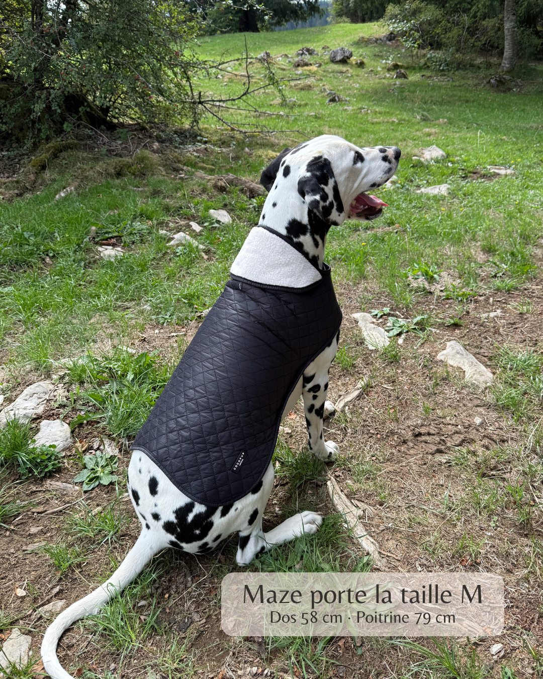 Manteau Chelsea - Noir minuit