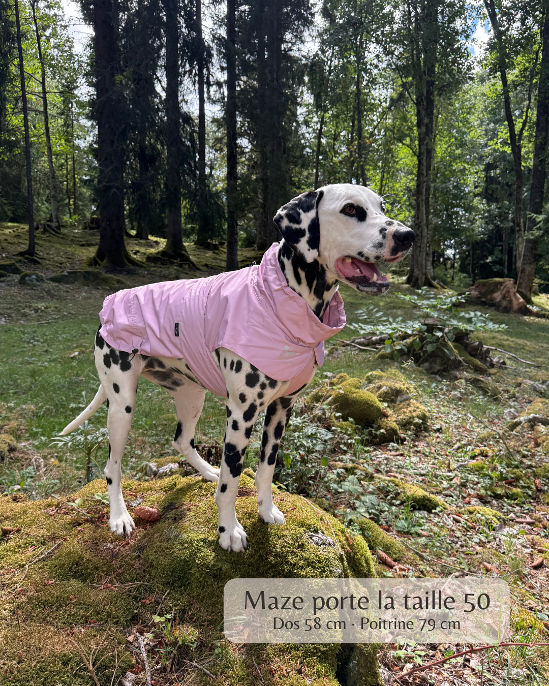 Imperméable “Pioggia di Milano” pour chien - rose poudré