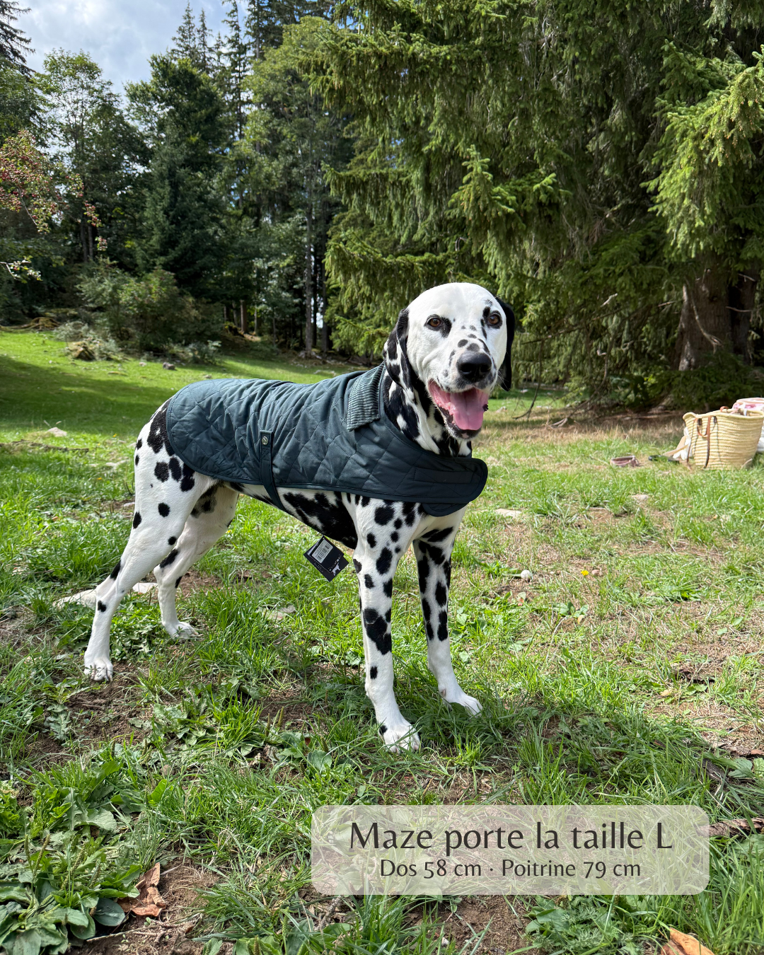 Manteau pour chien vert – Windsor Green