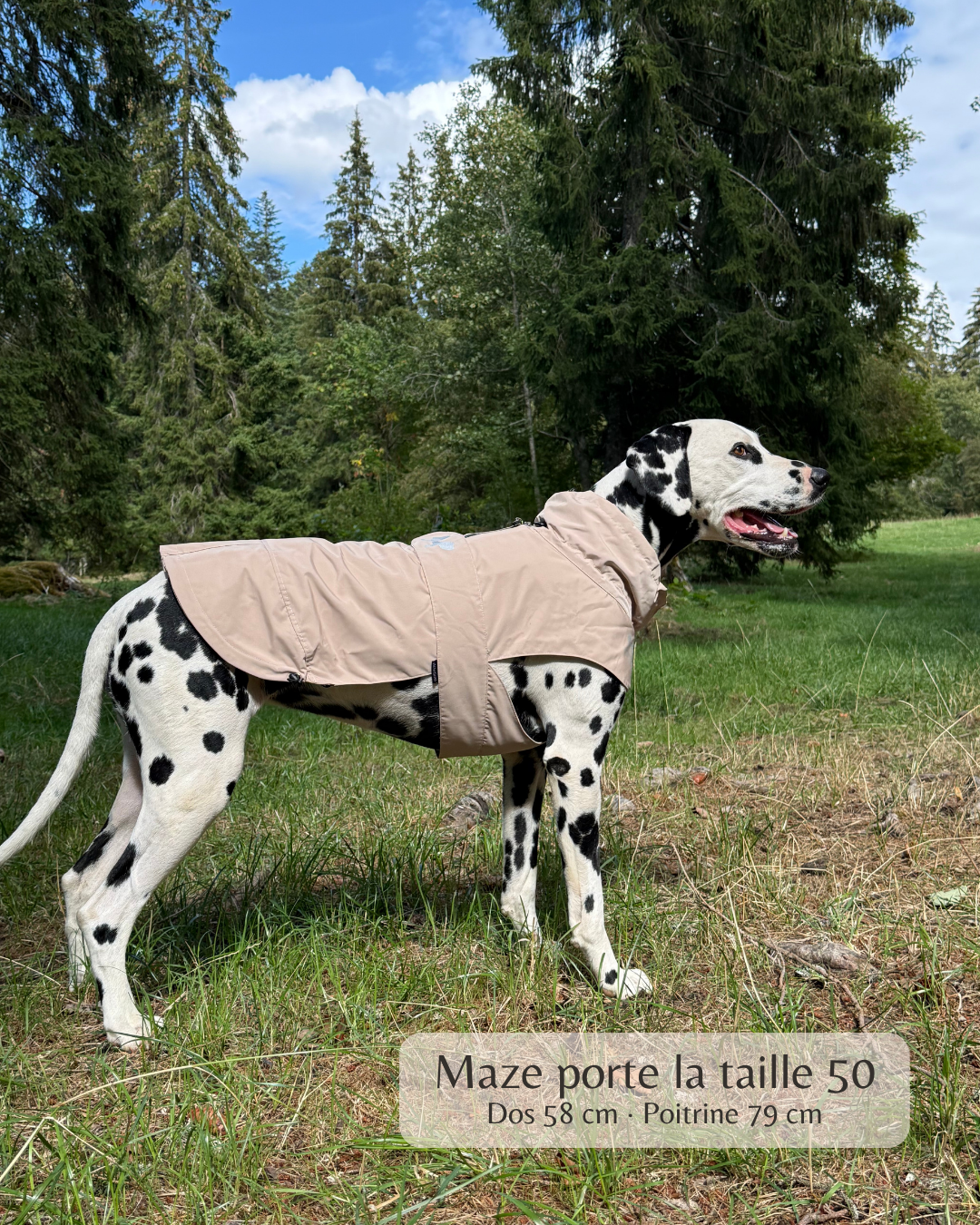 Imperméable “Pioggia di Milano” pour chien - taupe