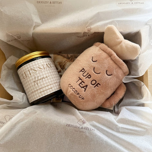 Retour de balade – Coffret cadeau pour chien & son humain