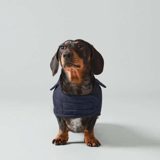 Manteau pour chien bleu marine – London Club