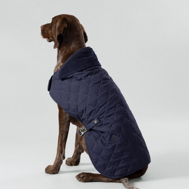 Manteau pour chien bleu marine – London Club