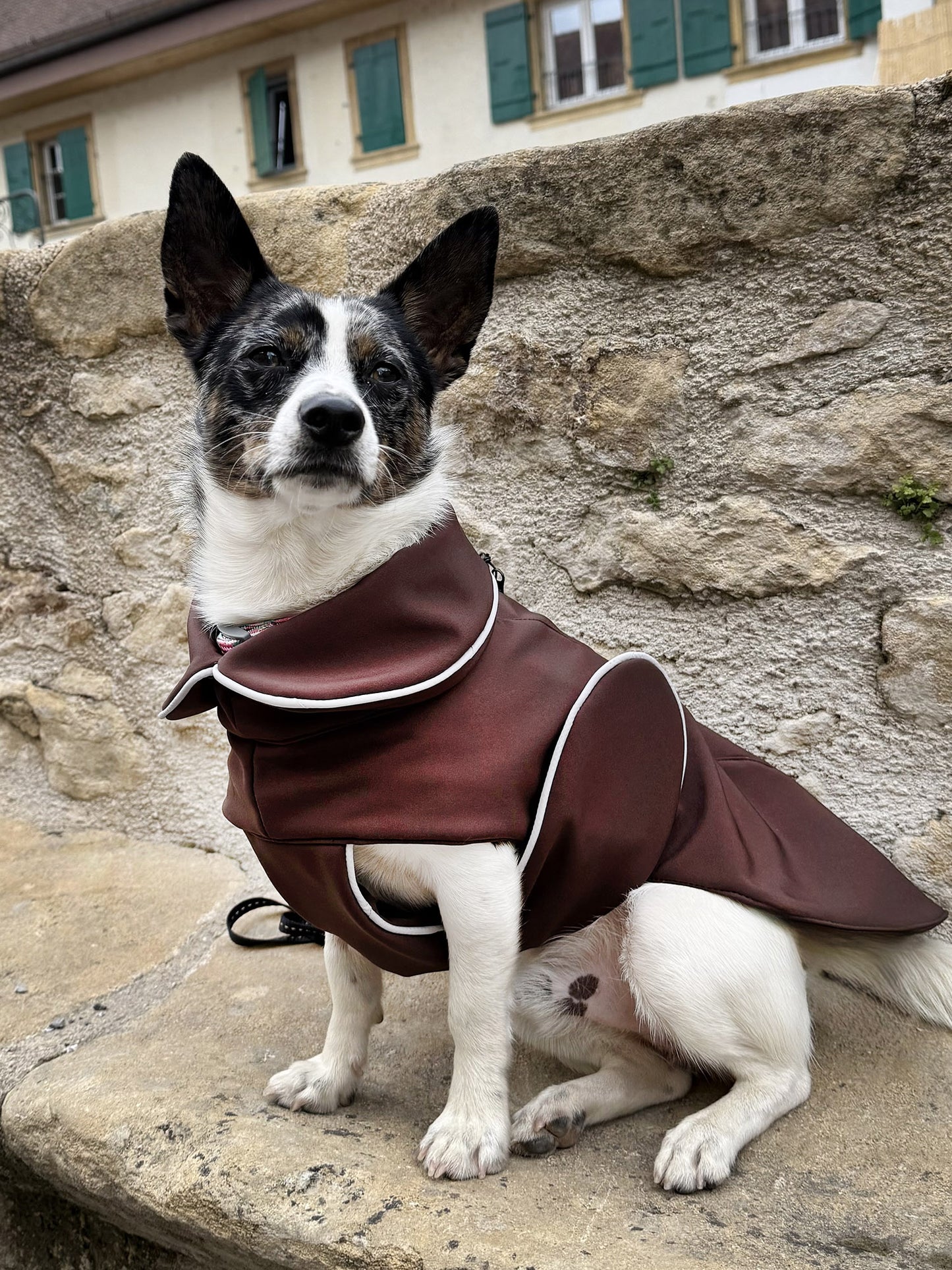 Manteau de pluie pour chien Signature taupe - en Softshell