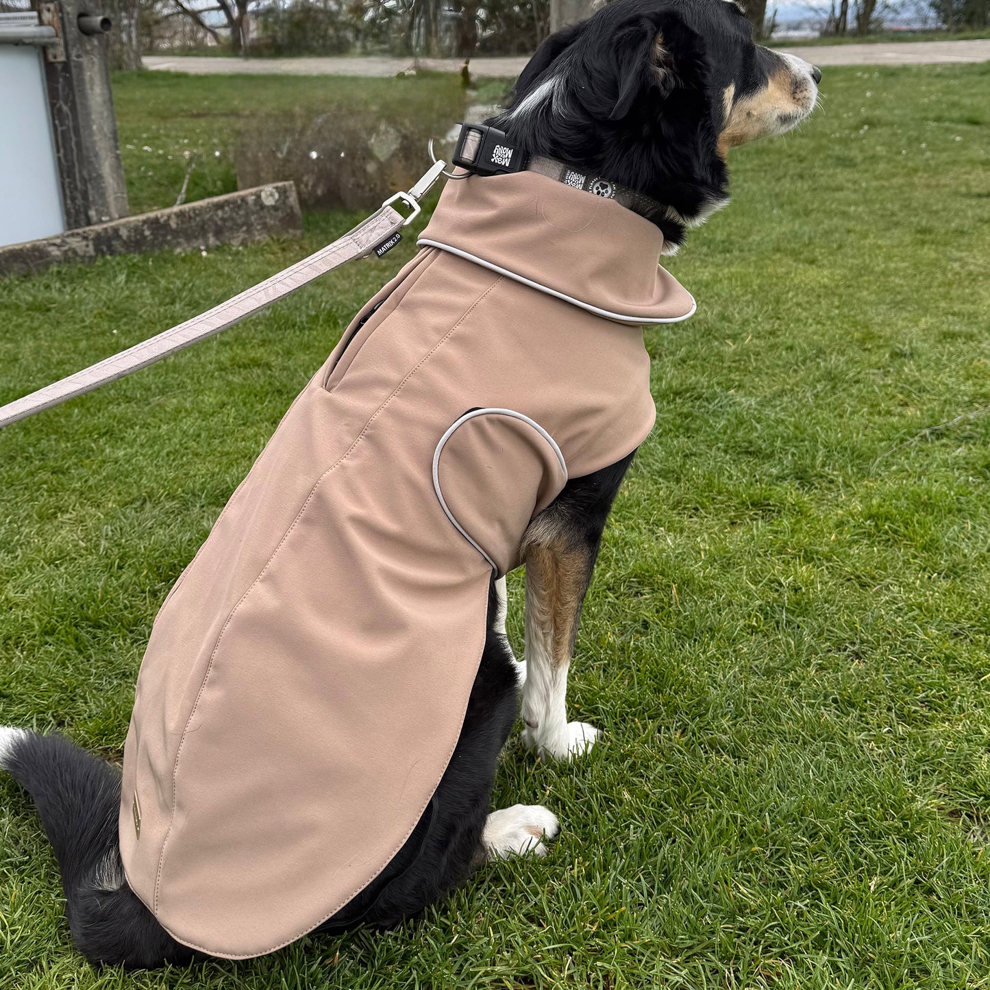 Manteau de pluie pour chien Signature taupe - en Softshell