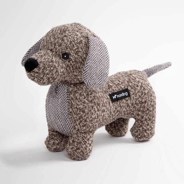 Mr Watson – Le teckel tout en douceur