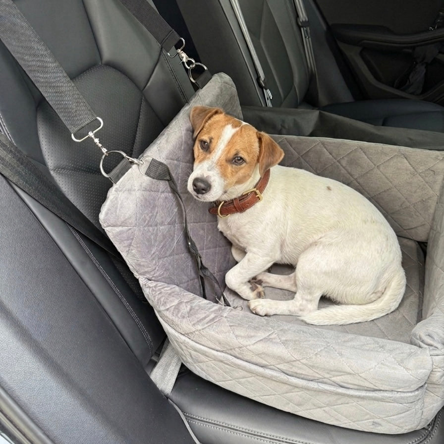 Siège "Nid nomade" - Siège auto confortable et sécurisé pour chien