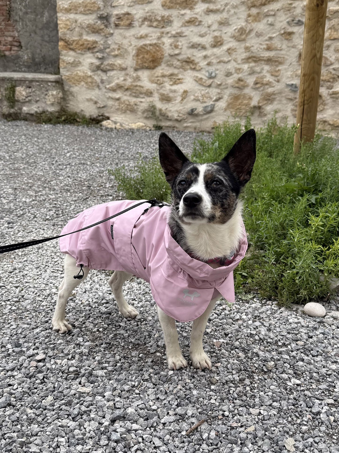 Imperméable “Pioggia di Milano” pour chien - rose poudré