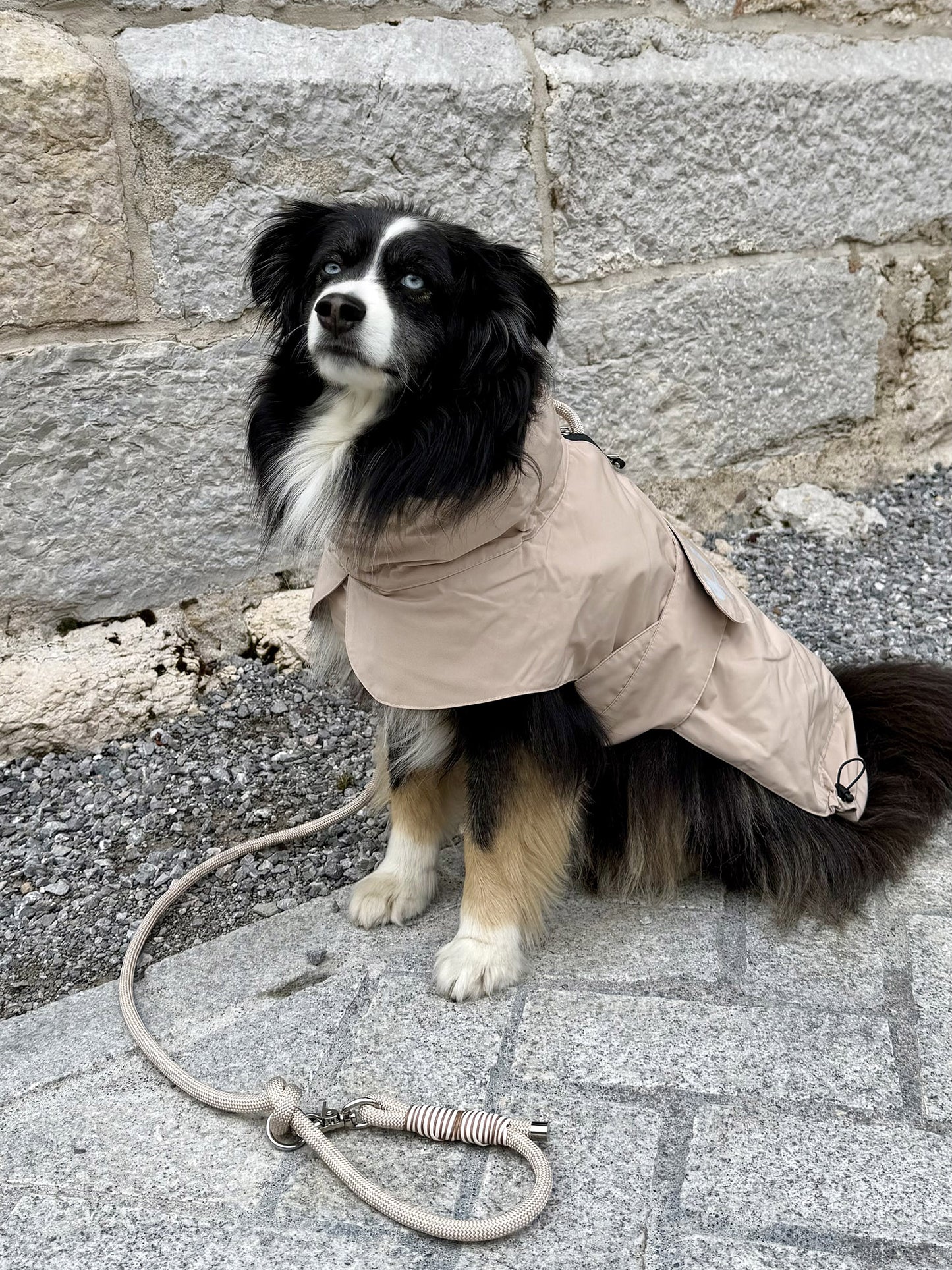 Imperméable “Pioggia di Milano” pour chien - rose poudré