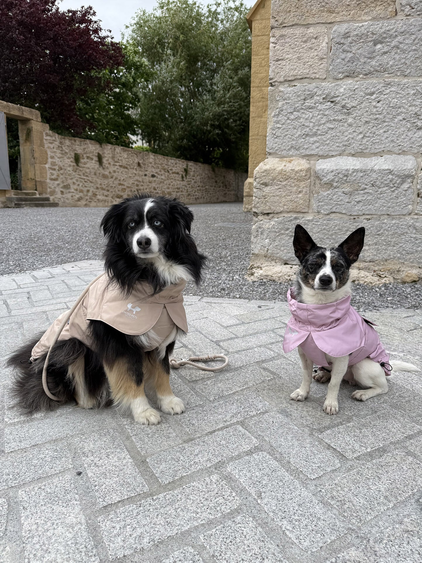 Imperméable “Pioggia di Milano” pour chien - rose poudré